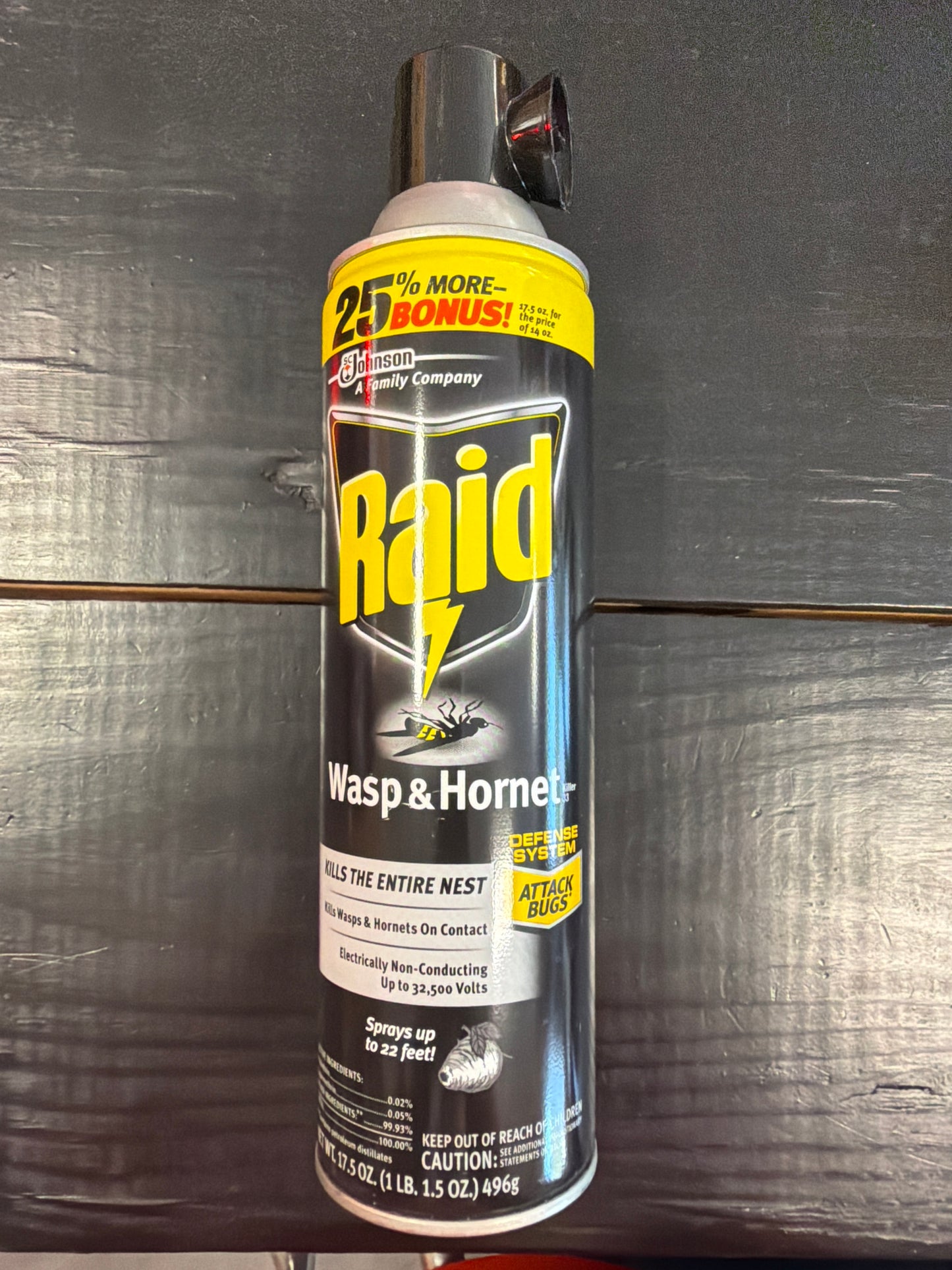 Raid Wasp and Hornet Spray 17.5oz