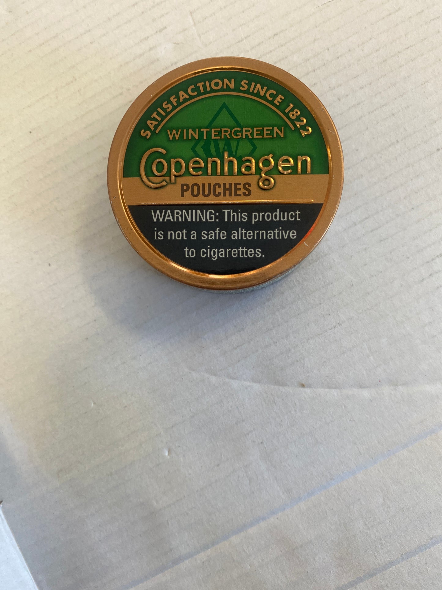 Copenhagen Wintergreen Pouches