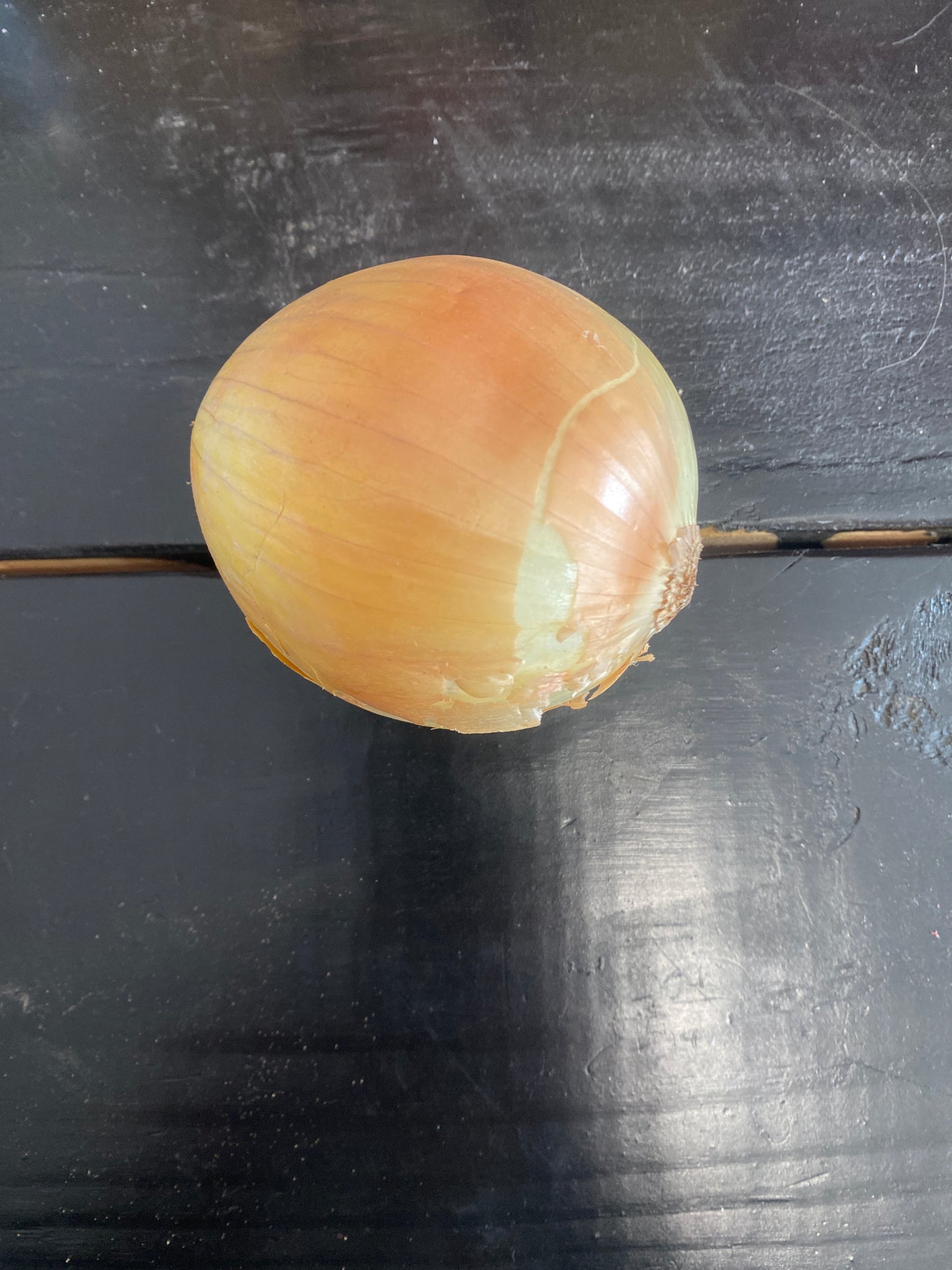 Onion