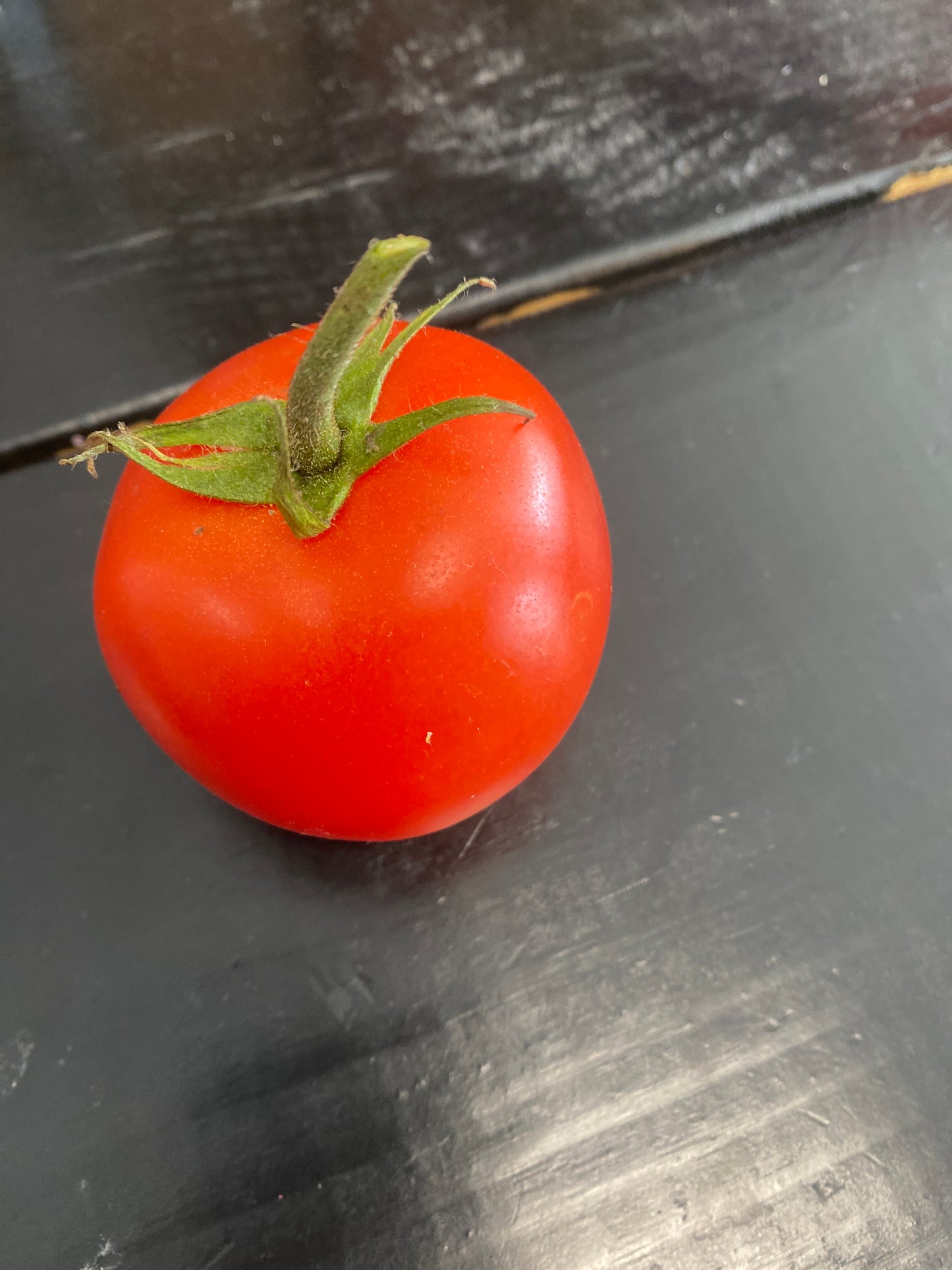 Tomato